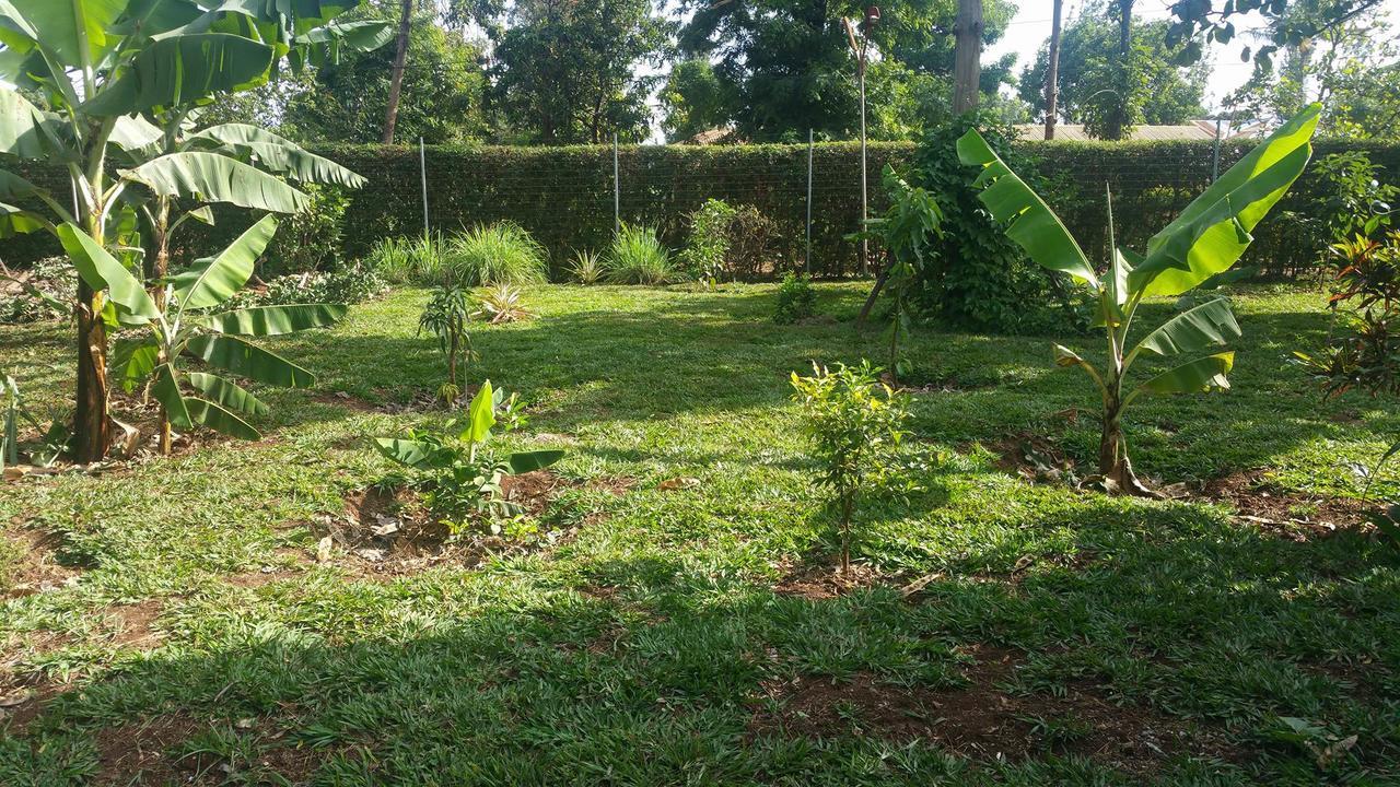 Mama Simba Bed And Breakfast Moshi Exterior foto