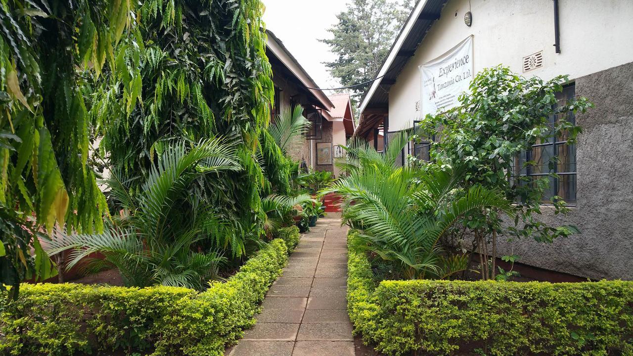 Mama Simba Bed And Breakfast Moshi Exterior foto