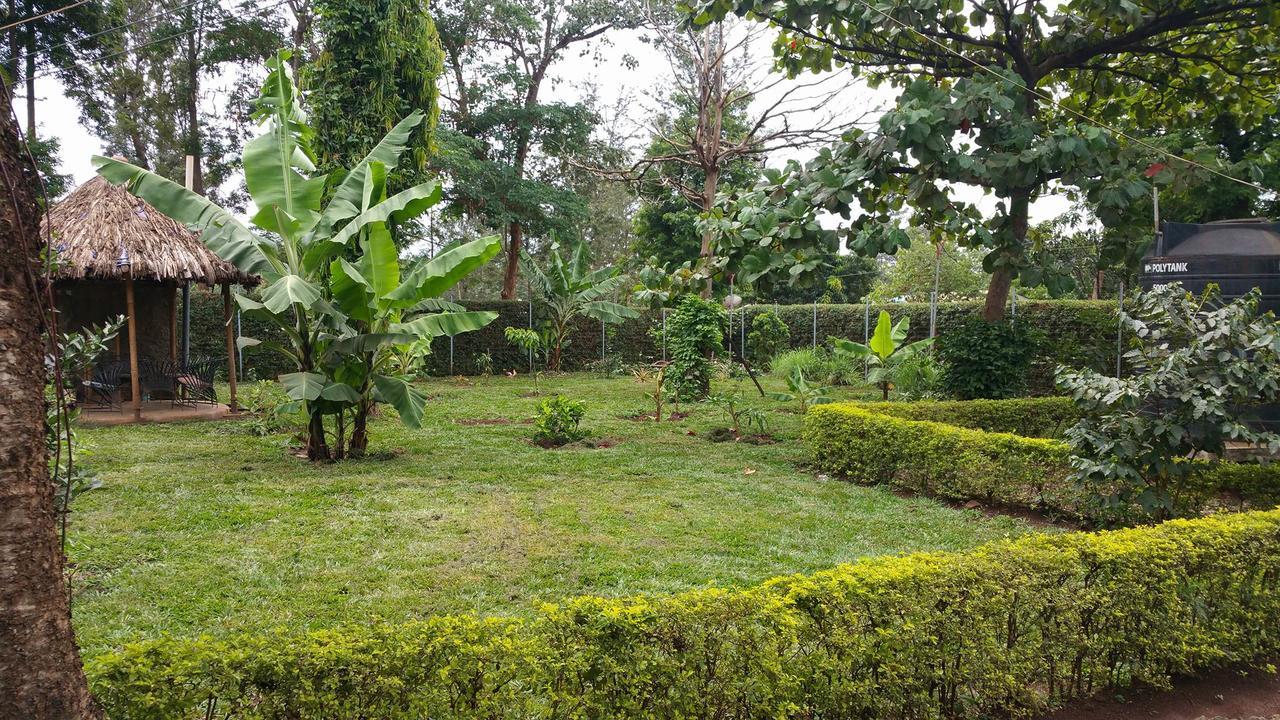 Mama Simba Bed And Breakfast Moshi Exterior foto